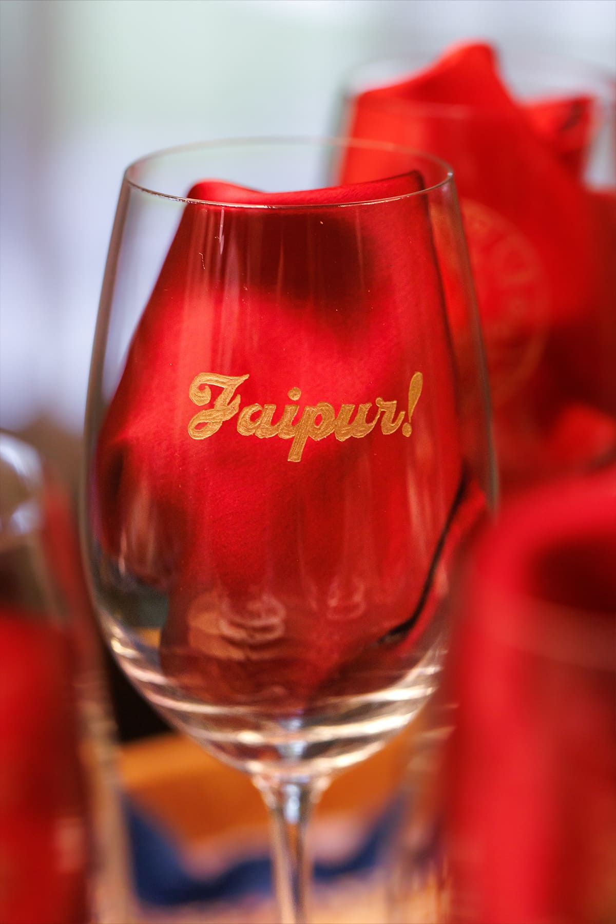 The Pink City Wine Glass